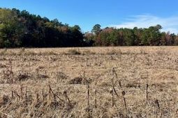 168 Country Downs Lane photo 4