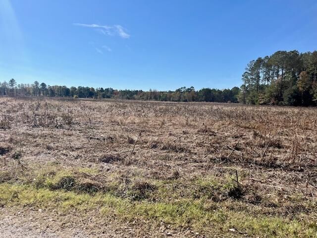 168 Country Downs Lane Photo 5