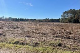 168 Country Downs Lane photo 4