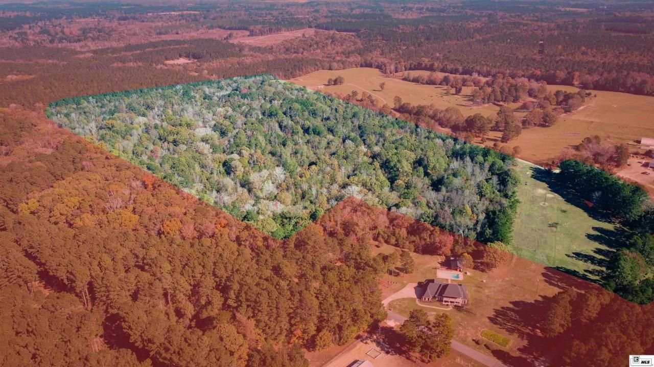 172 Sav Road, Dubach, LA 71235 Main Photo