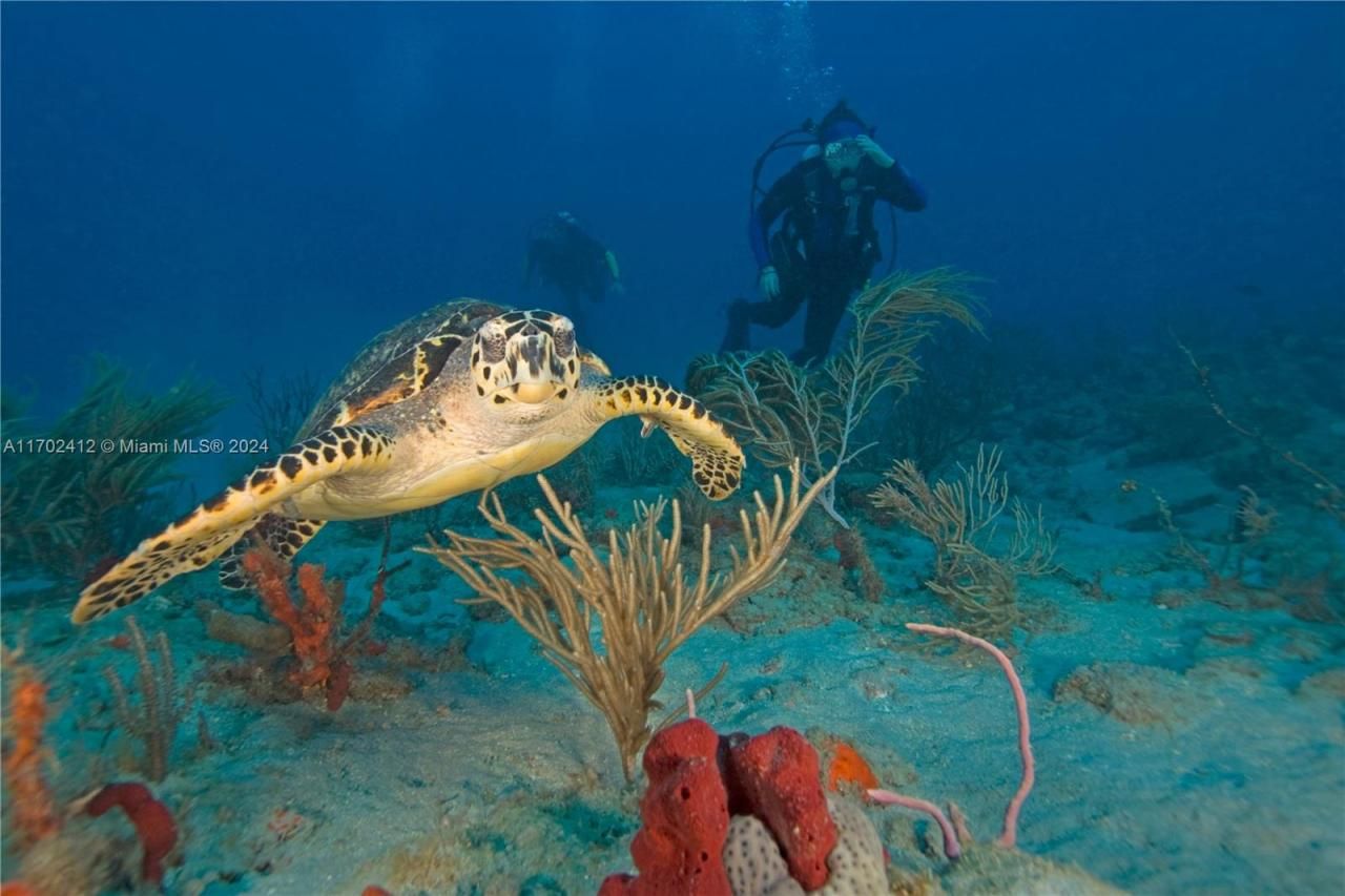 12090 Kraft Ave, Port Charlotte, FL 33953 Photo