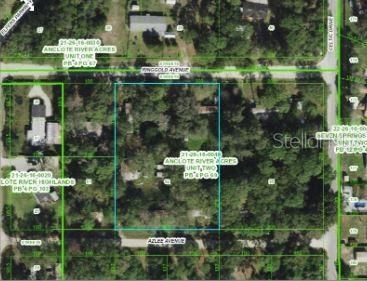 6927 Azlee Avenue, New Port Richey, FL 34655 Photo