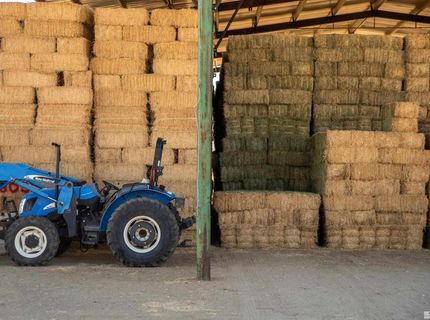 5555 Sage Flat Road, Reno, NV 89510 Photo