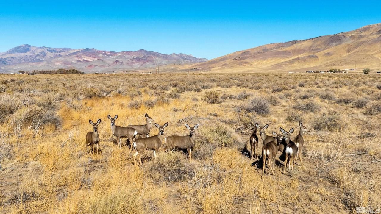 5555 Sage Flat Road, Reno, NV 89510 Photo