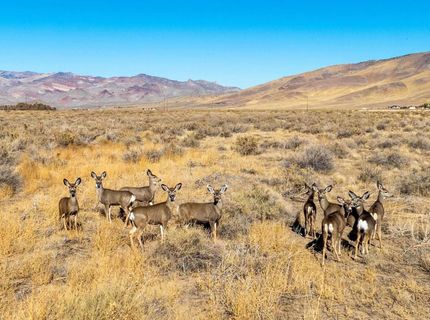 5555 Sage Flat Road, Reno, NV 89510 Photo