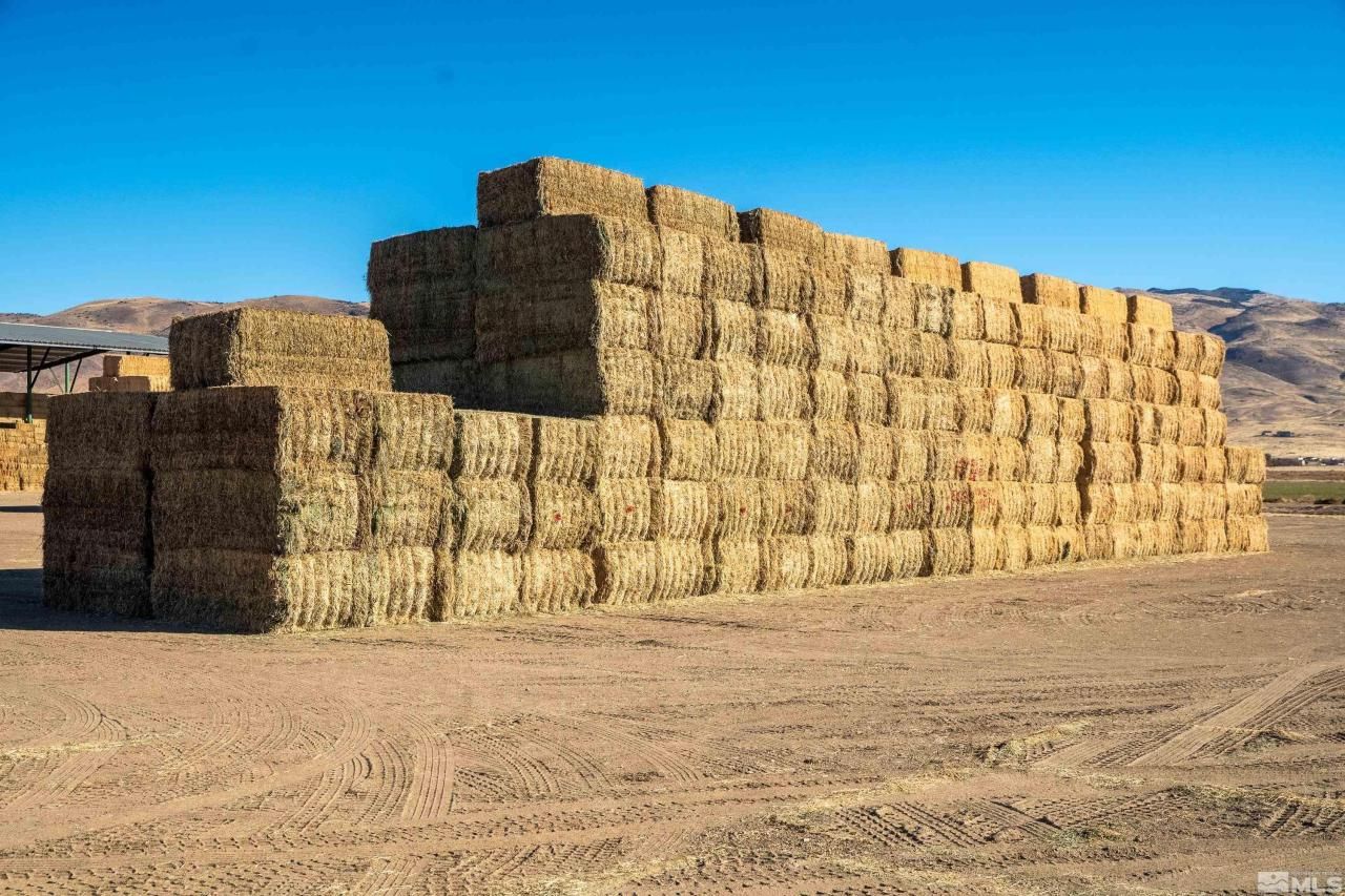 5555 Sage Flat Road, Reno, NV 89510 Photo