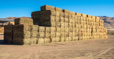 5555 Sage Flat Road, Reno, NV 89510 Photo