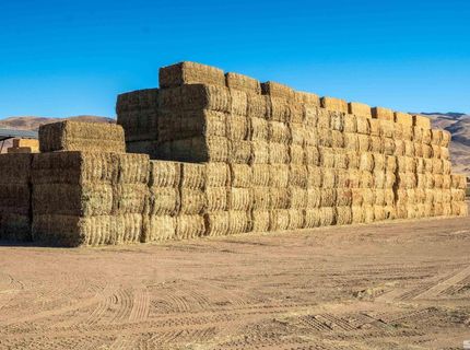 5555 Sage Flat Road, Reno, NV 89510 Photo