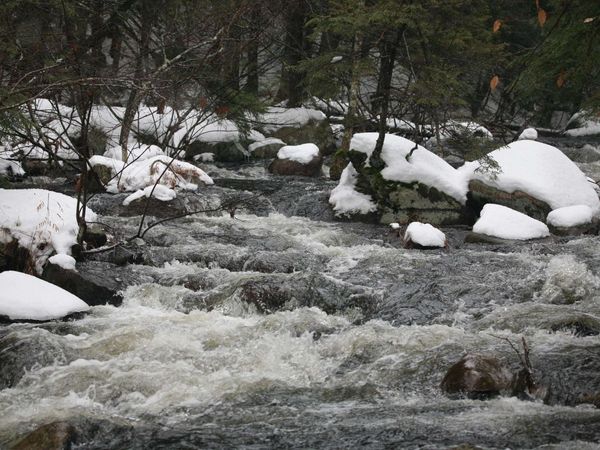 481 Chocorua Mountain Highway, Tamworth, NH 03886