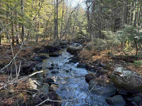 481 Chocorua Mountain Highway, Tamworth, NH 03886