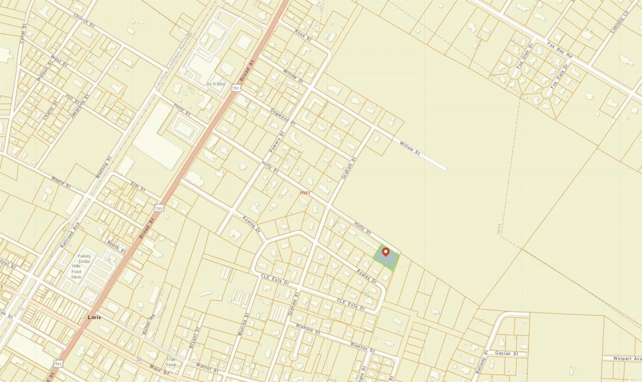 4824 Holly St. Photo 4