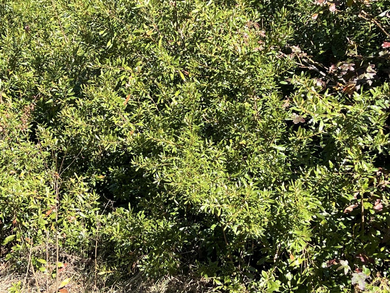 0 Ardwick Road Photo 1