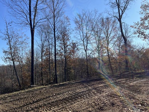 91D Rolling Hills, Lobelville, TN 37097