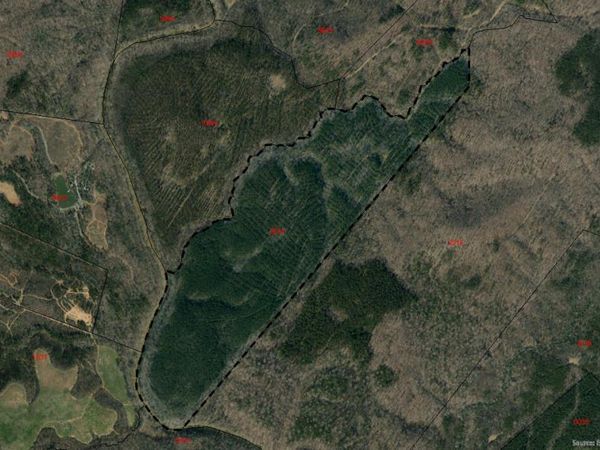 Tbd Ophir Road, Troy, NC 27371