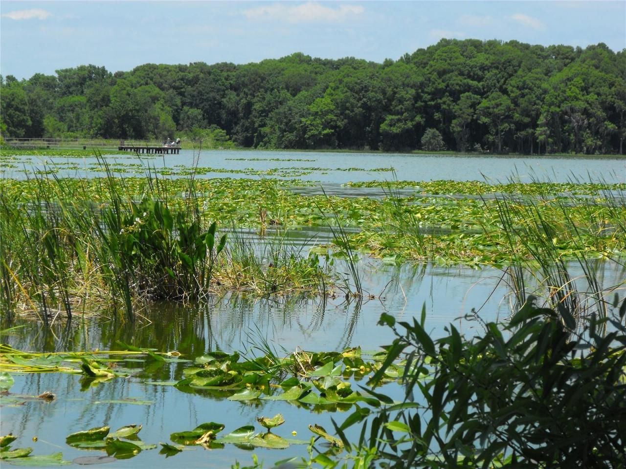 S Us Hwy 27 & Howard Rd, Leesburg, FL 34748 Photo