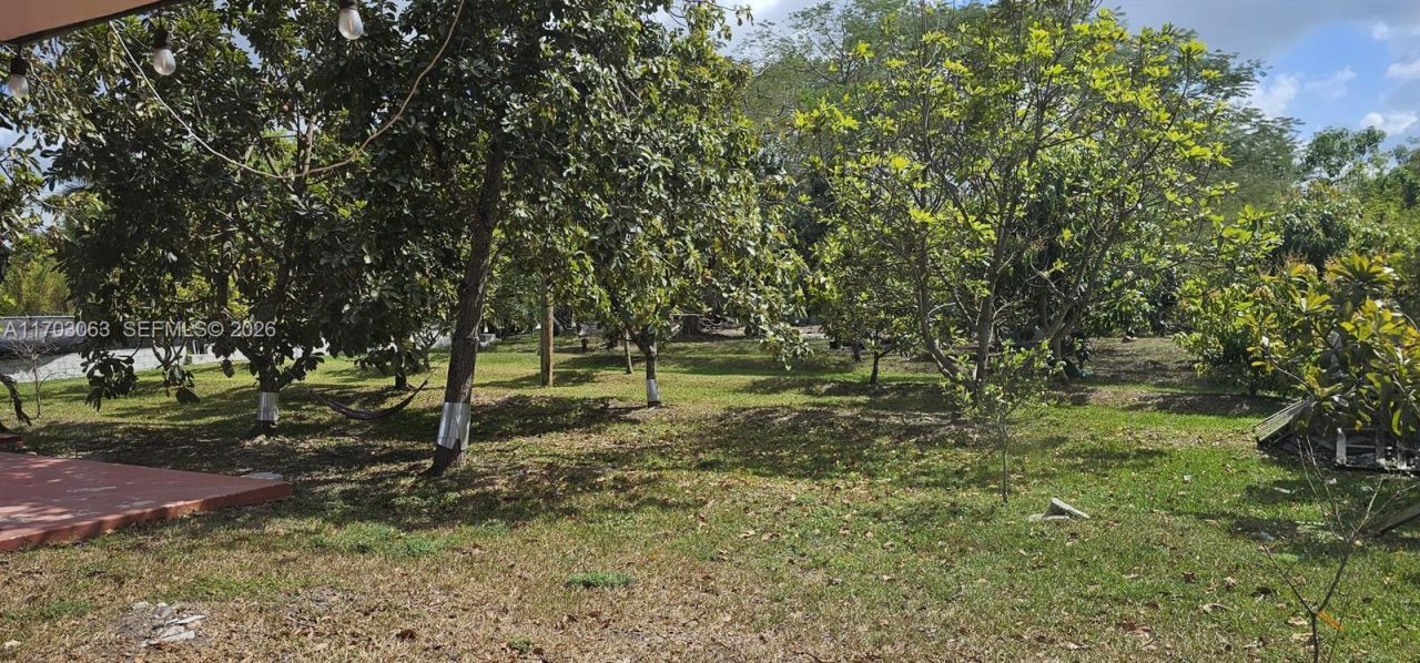 15700 SW 202nd Ave, Miami, FL 33187 Photo