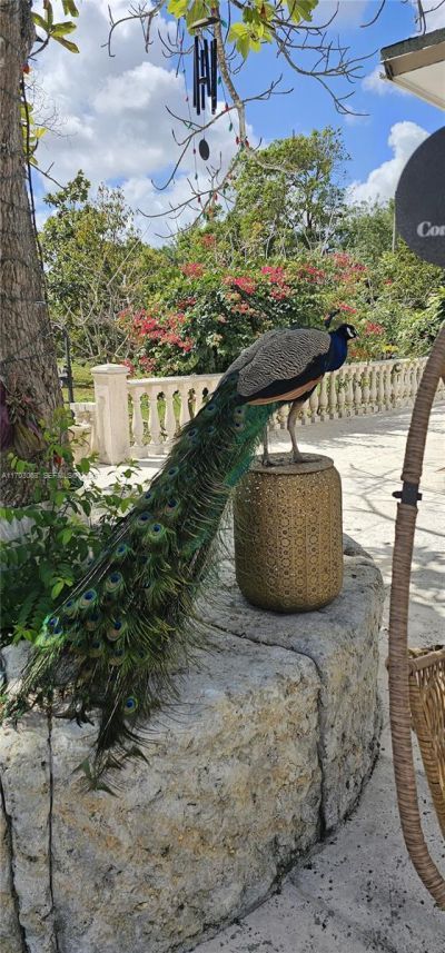 15700 SW 202nd Ave, Miami, FL 33187 Photo