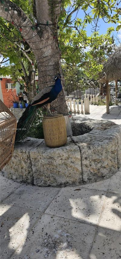 15700 SW 202nd Ave, Miami, FL 33187 Photo