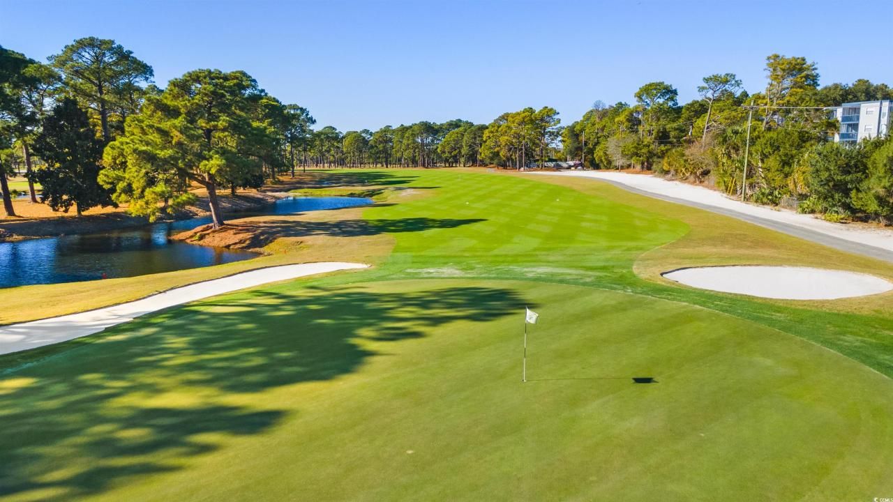 1101 Possum Trot Rd. Photo 40