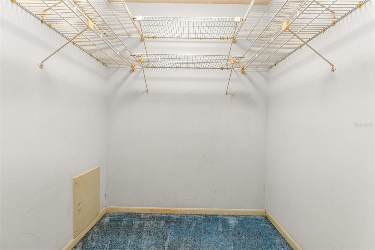 1116 N Riverhills Drive, Temple Terrace, FL 33617 Photo