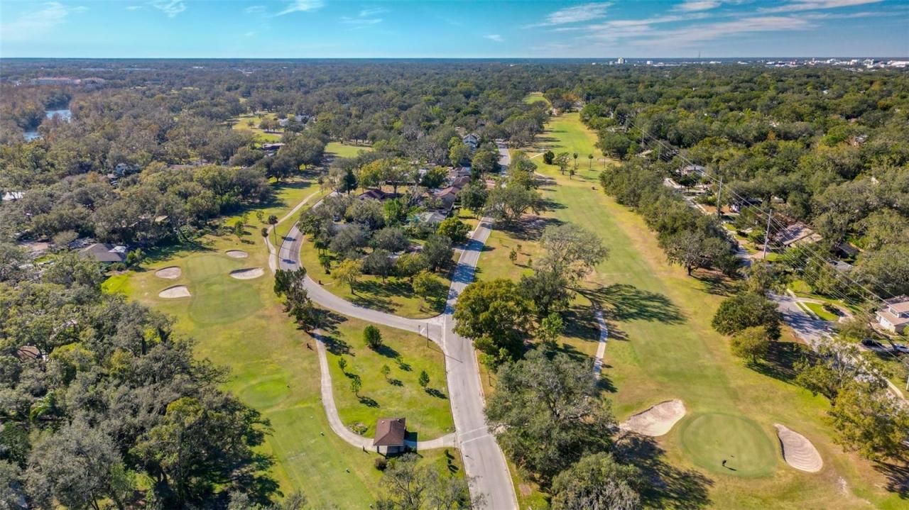 1116 N Riverhills Drive, Temple Terrace, FL 33617 Photo