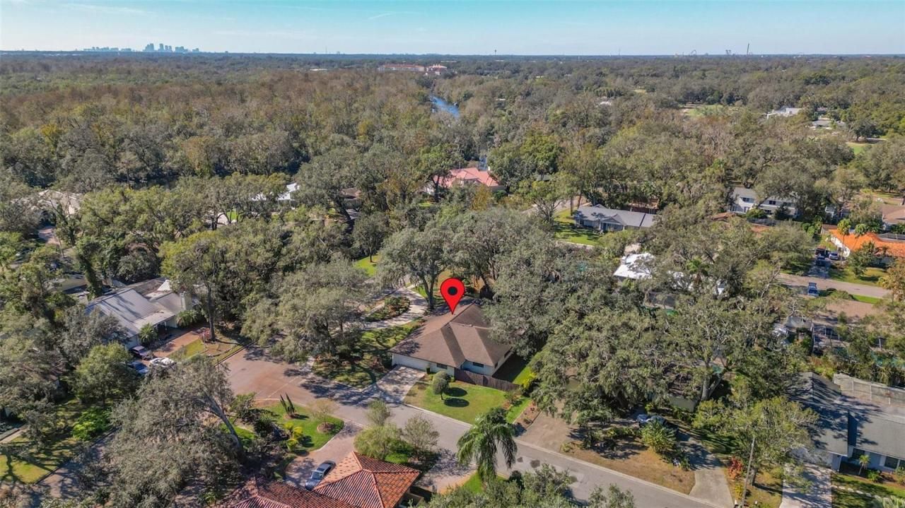 1116 N Riverhills Drive, Temple Terrace, FL 33617 Photo