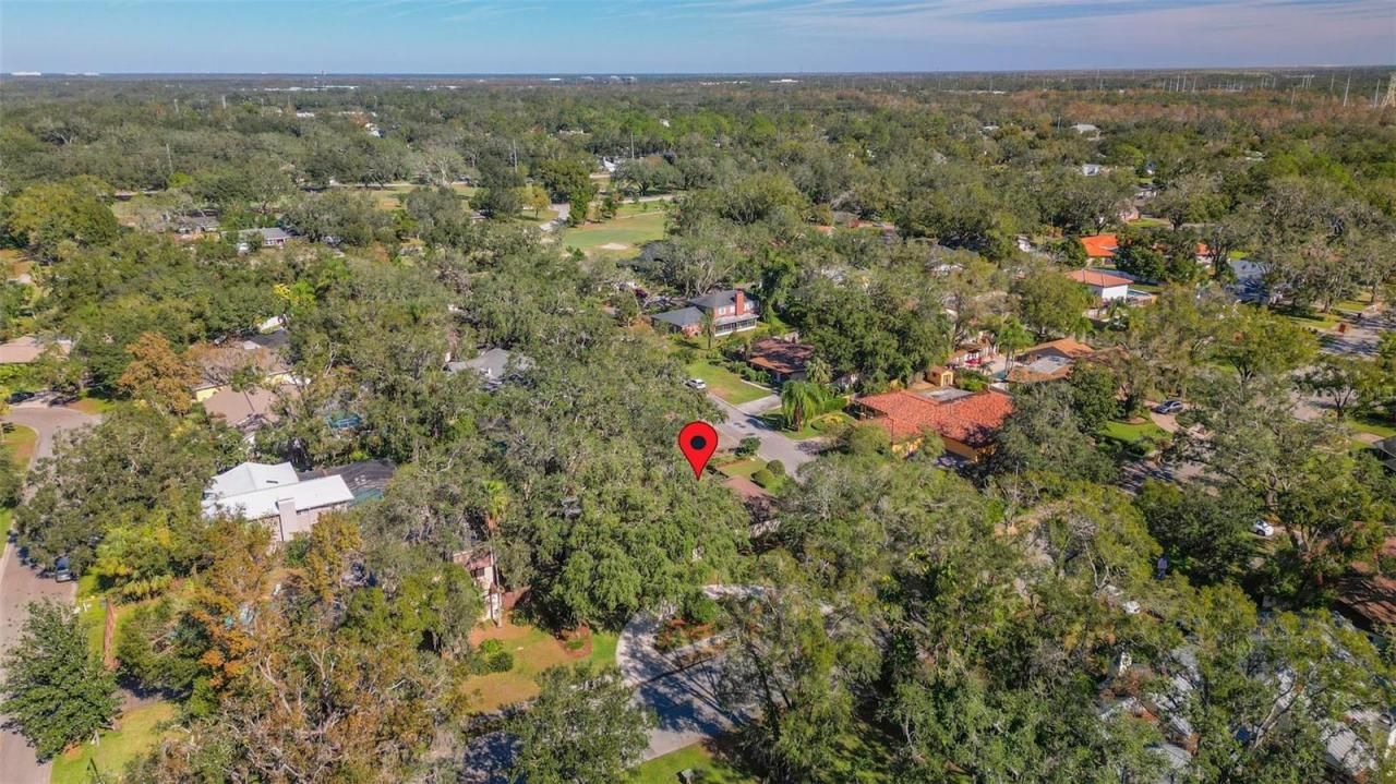 1116 N Riverhills Drive, Temple Terrace, FL 33617 Photo