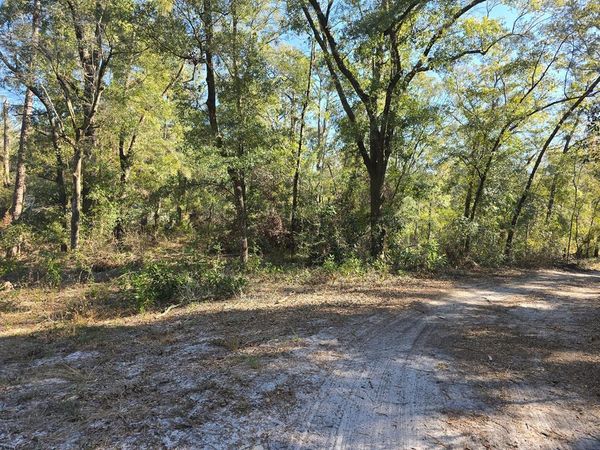 TBD NW 57th Ln, Chiefland, FL 32626