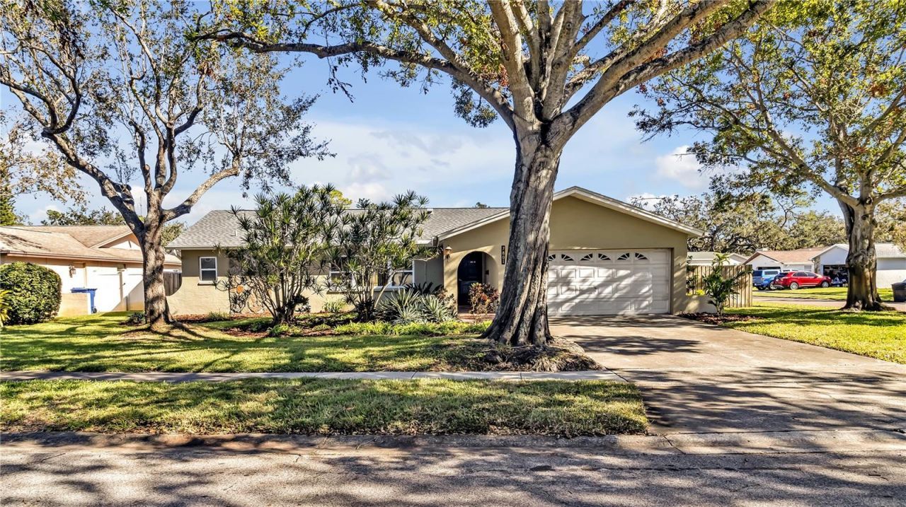 7801 17th Way N, Saint Petersburg, FL 33702 Photo