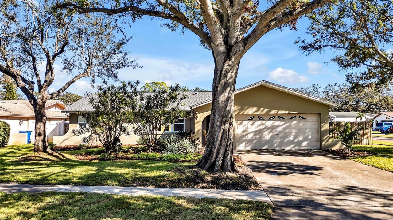 7801 17th Way N, Saint Petersburg, FL 33702 Photo