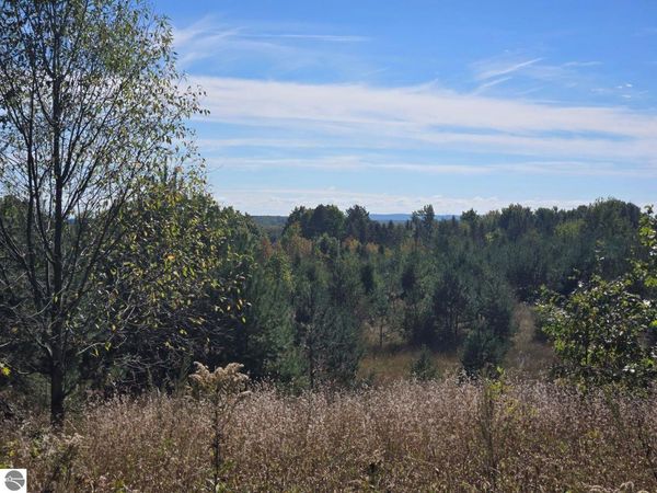 Moorestown Road, Lake City, MI 49651