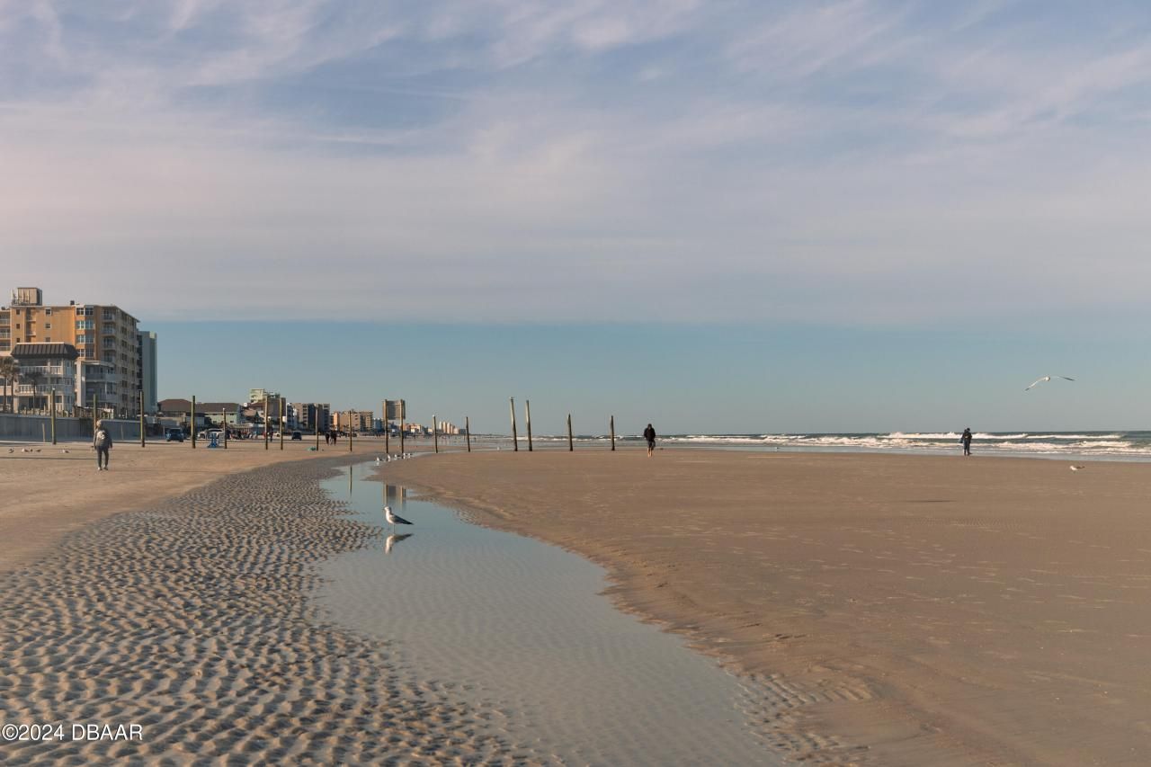 3801 S Atlantic Avenue, Unit UT204, New Smyrna Beach, FL 32169 Photo