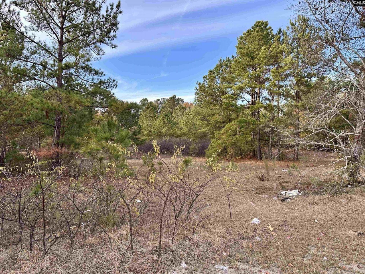 0 Emanuel Church Road Photo 24