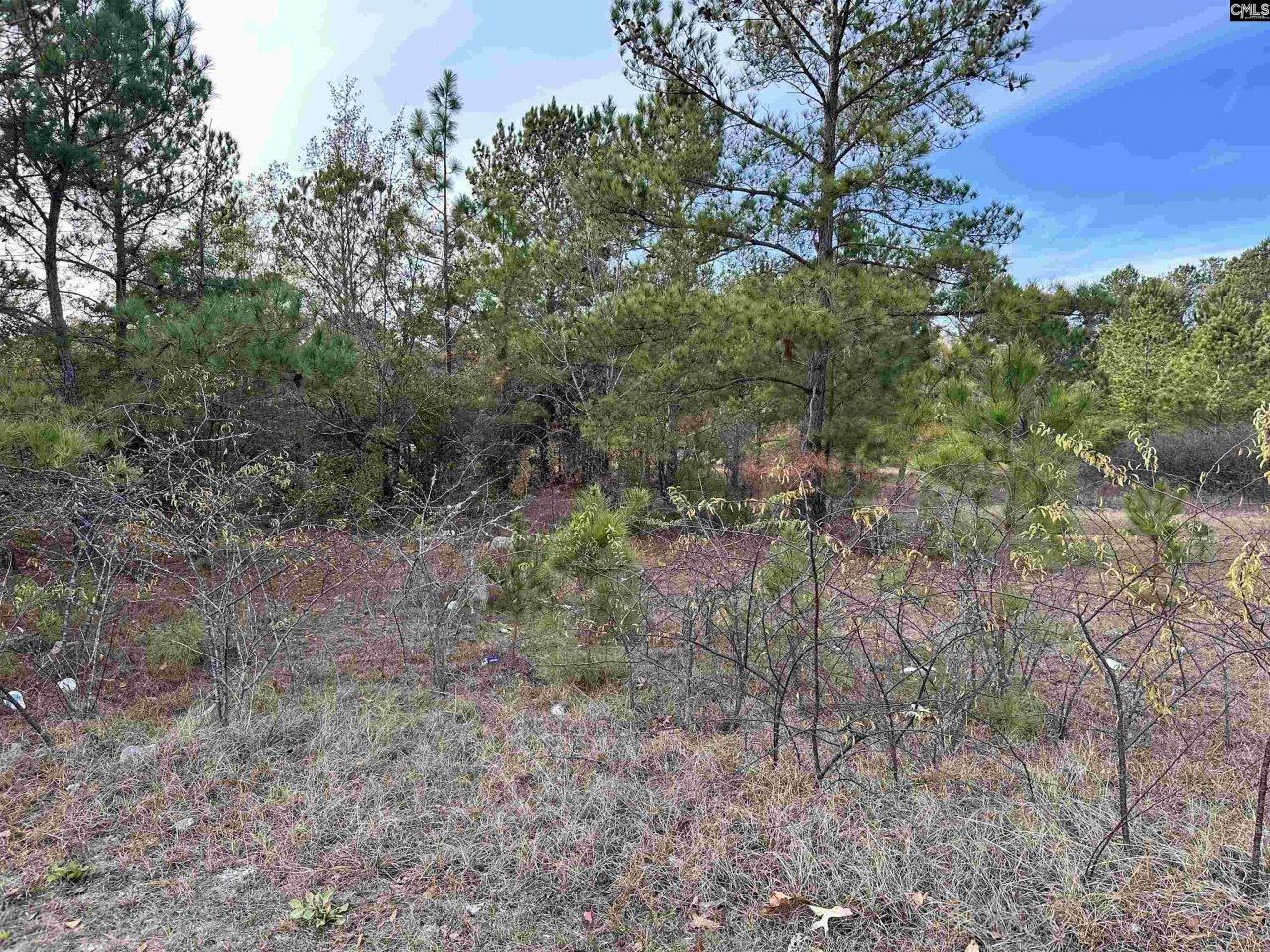 0 Emanuel Church Road Photo 25