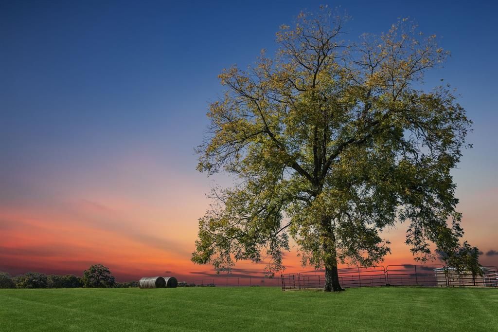 2212 Spring Hill Road, Aubrey, TX 76227 Main Photo