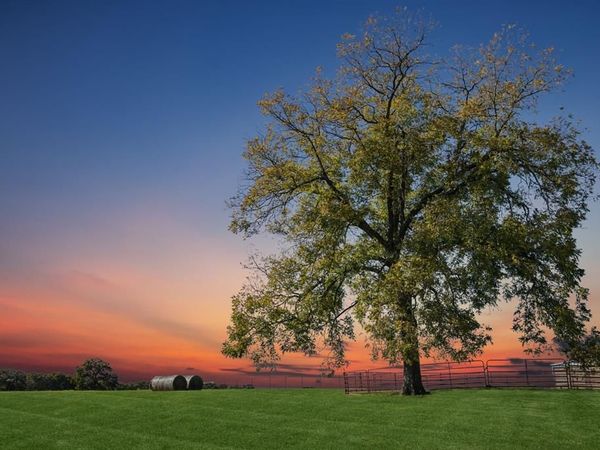 2212 Spring Hill Road, Aubrey, TX 76227