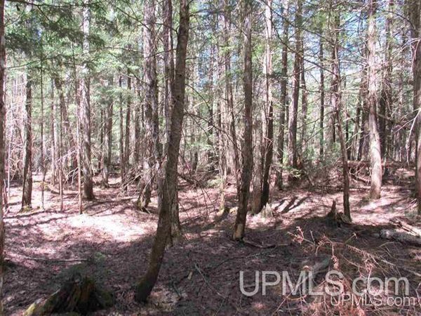 TBD Off Klingville Road, Chassell Twp, MI 49916