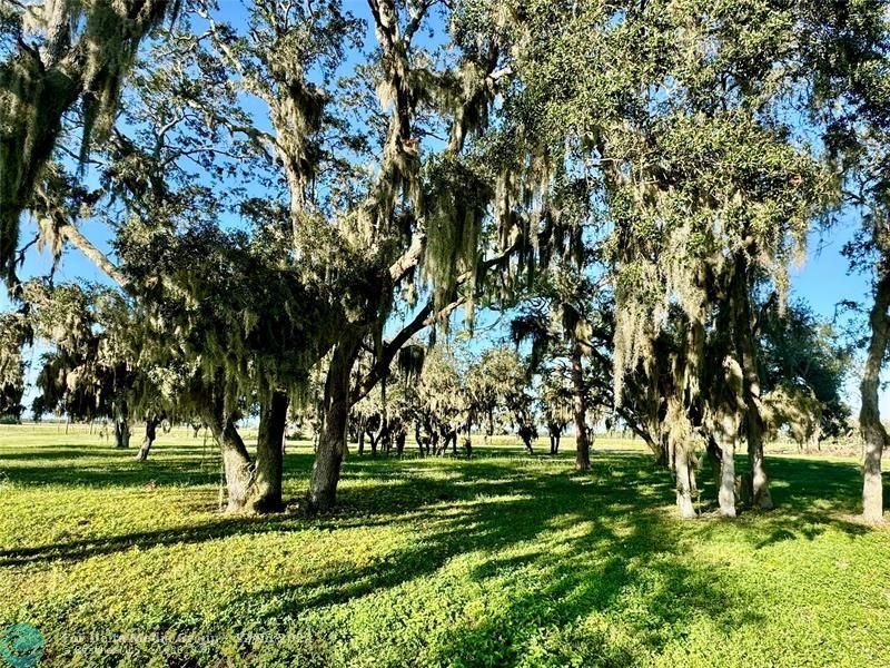 14151 E Center St, Okeechobee, FL 34974 Photo