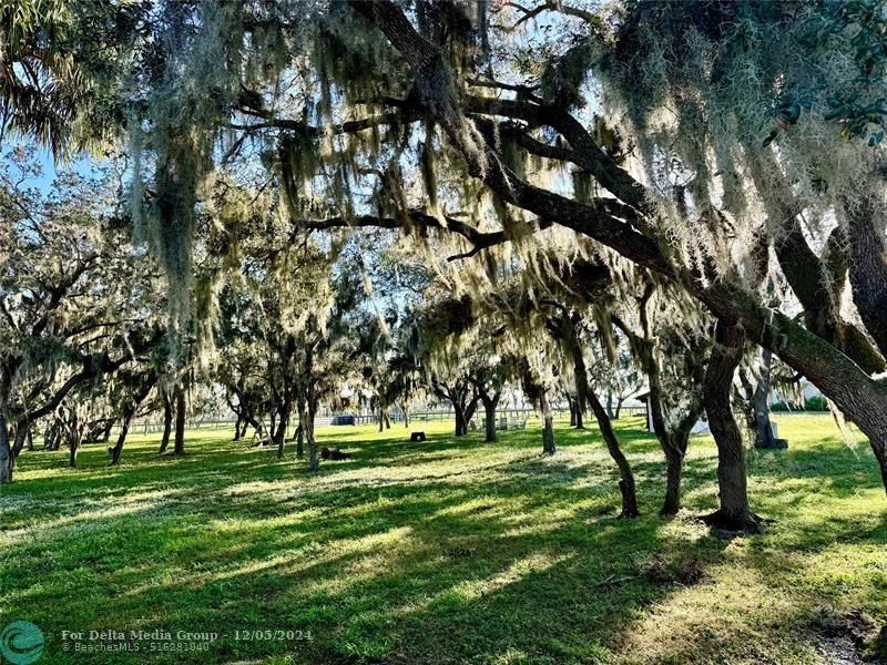 14151 E Center St, Okeechobee, FL 34974 Photo