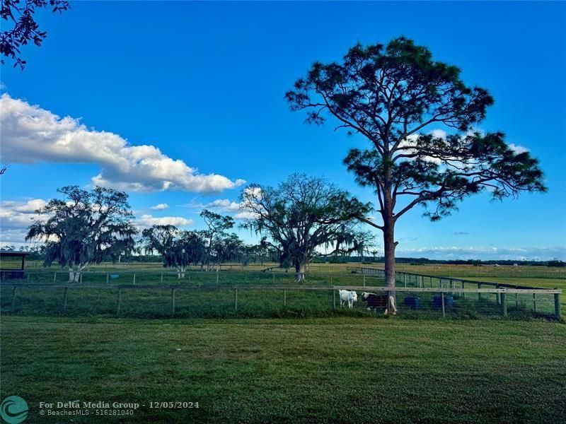 14151 E Center St, Okeechobee, FL 34974 Photo