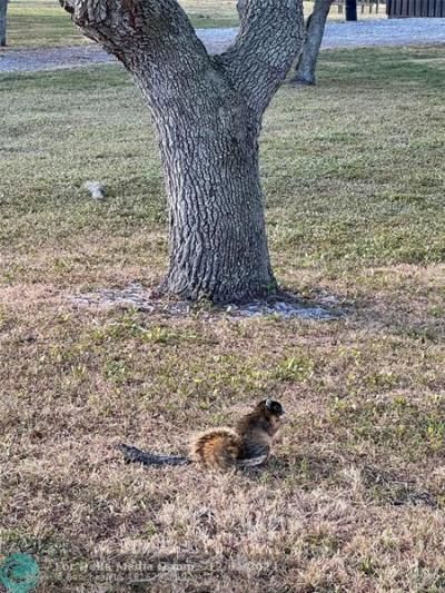 14151 E Center St, Okeechobee, FL 34974 Photo