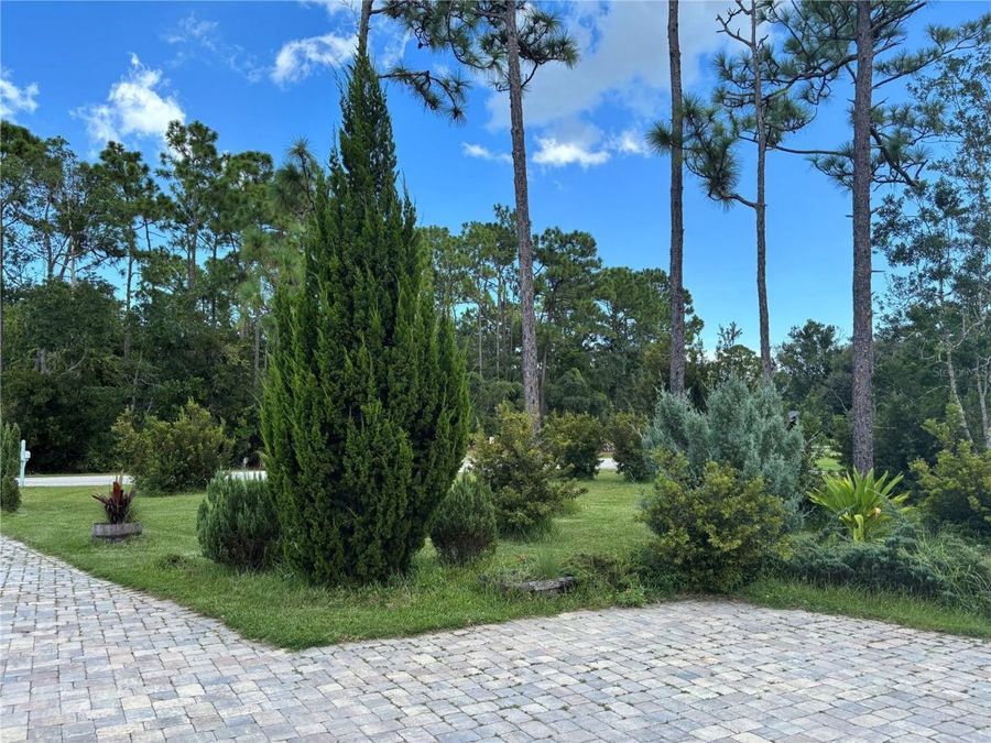 Property Image 81