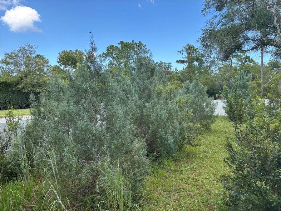 Property Image 86