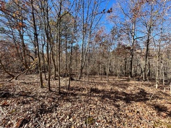 AR-102 Highway, Gravette, AR 72736