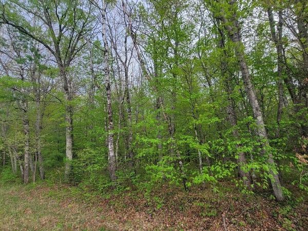 Lot 10 County Road A, Spooner, WI 54801