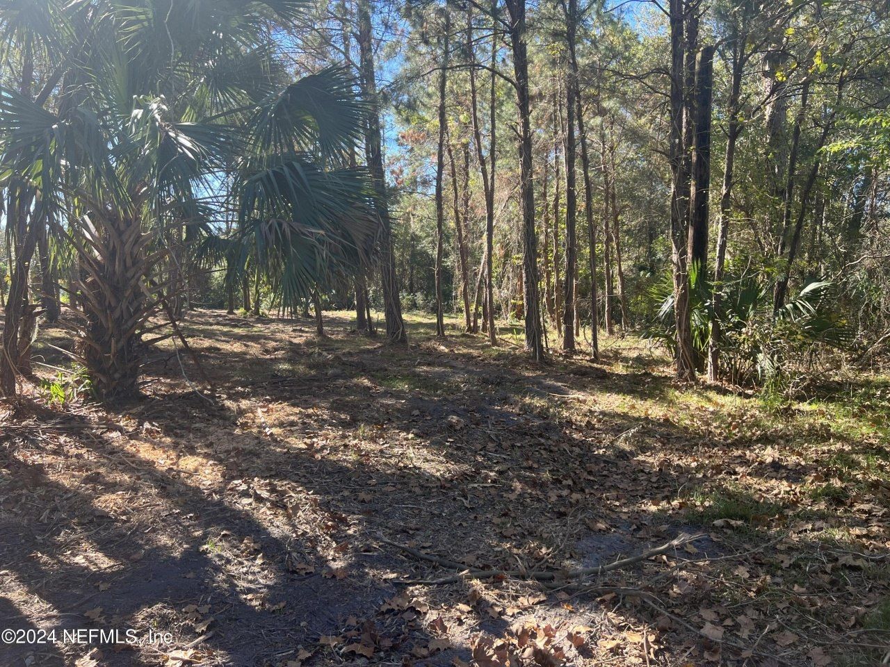 17802 Us-301, Waldo, FL 32694 Photo