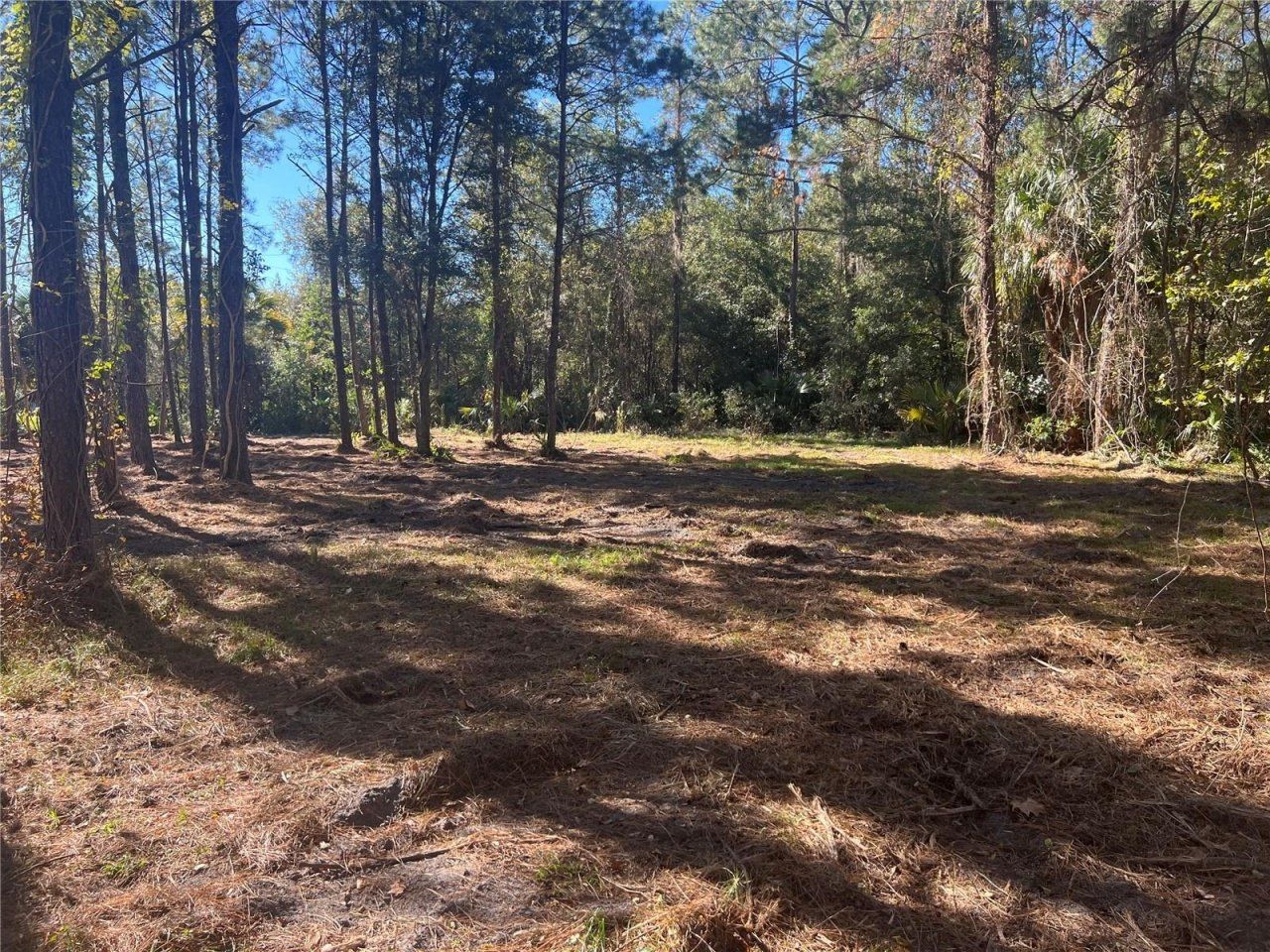 17802 Us-301, Waldo, FL 32694 Photo