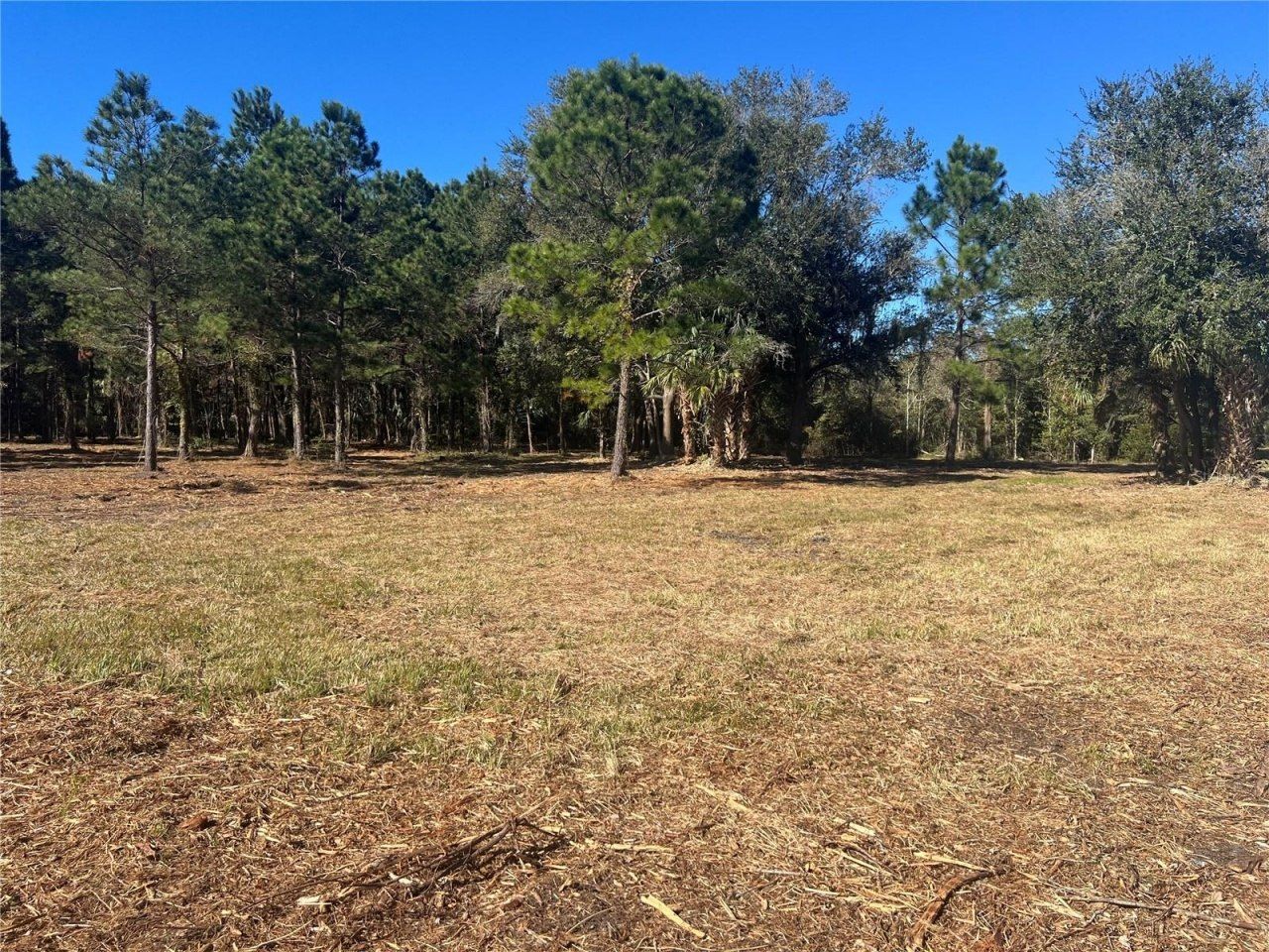 17802 Us-301, Waldo, FL 32694 Photo