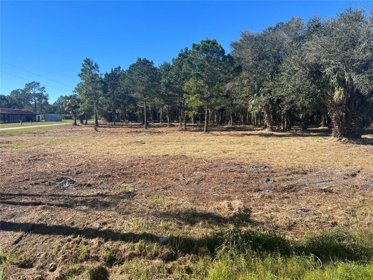 17802 Us-301, Waldo, FL 32694 Photo