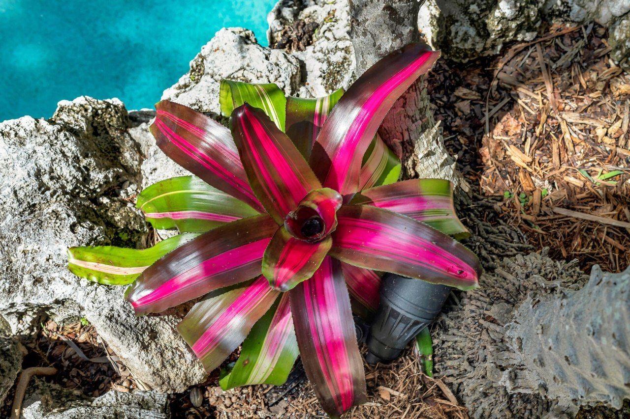 3615 Eagle Avenue, Key West, FL 33040 Photo